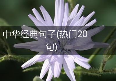 中华经典句子(热门20句)