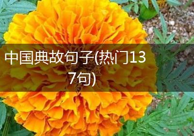 中国典故句子(热门137句)