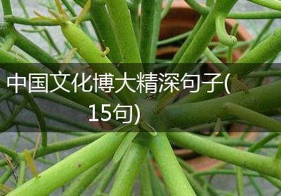 中国文化博大精深句子(15句)