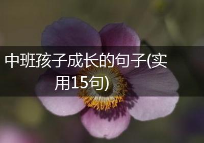 中班孩子成长的句子(实用15句)