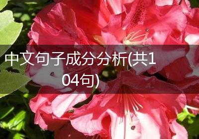 中文句子成分分析(共104句)
