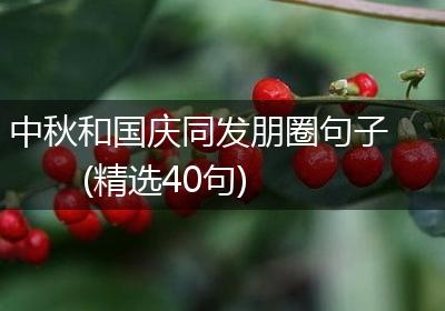 中秋和国庆同发朋圈句子(精选40句)