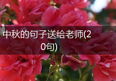 中秋的句子送给老师(20句)