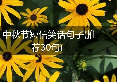 中秋节短信笑话句子(推荐30句)