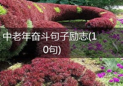 中老年奋斗句子励志(10句)