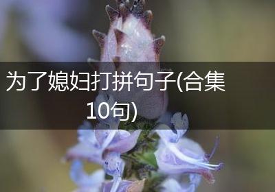 为了媳妇打拼句子(合集10句)
