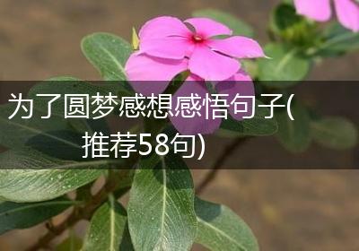 为了圆梦感想感悟句子(推荐58句)