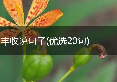 丰收说句子(优选20句)