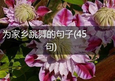 为家乡跳舞的句子(45句)