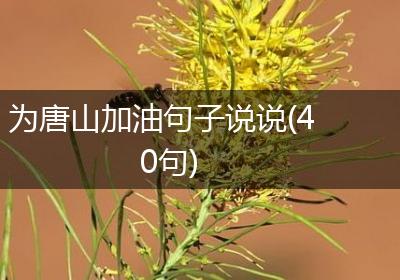 为唐山加油句子说说(40句)