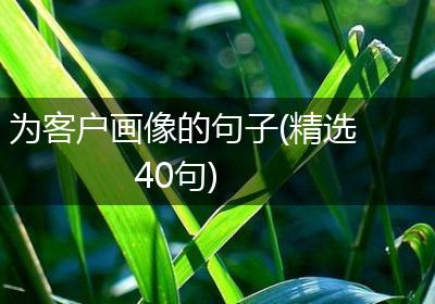 为客户画像的句子(精选40句)