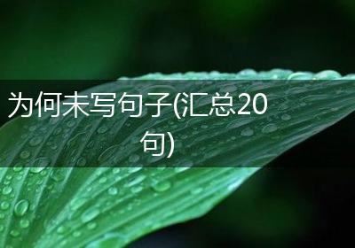 为何未写句子(汇总20句)
