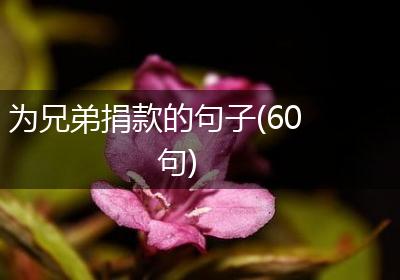 为兄弟捐款的句子(60句)