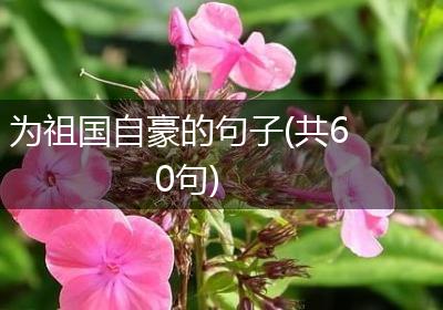 为祖国自豪的句子(共60句)