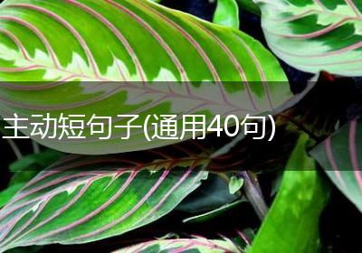主动短句子(通用40句)
