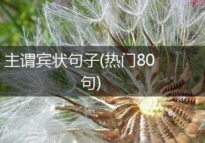 主谓宾状句子(热门80句)