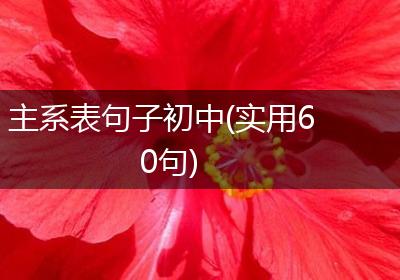 主系表句子初中(实用60句)