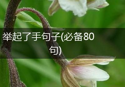 举起了手句子(必备80句)