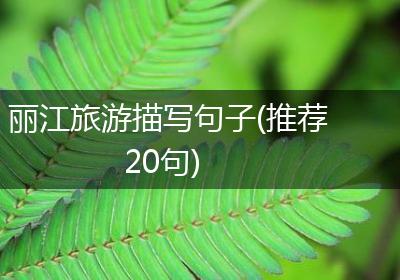 丽江旅游描写句子(推荐20句)