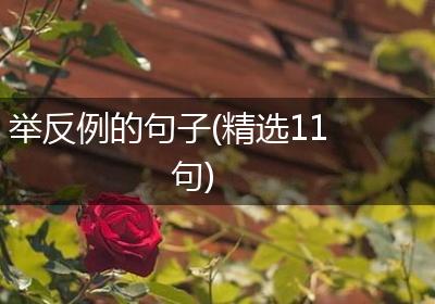 举反例的句子(精选11句)