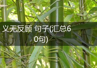 义无反顾 句子(汇总60句)