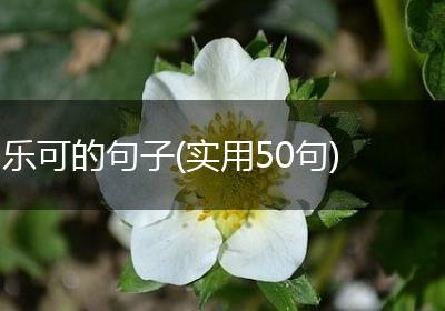 乐可的句子(实用50句)