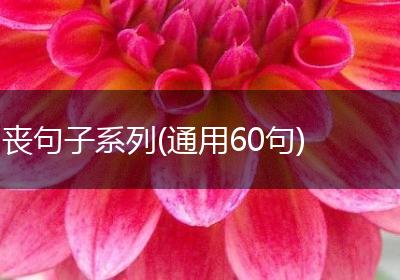 丧句子系列(通用60句)