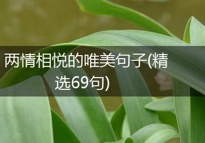 两情相悦的唯美句子(精选69句)