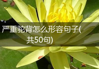 严重驼背怎么形容句子(共50句)