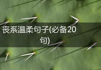 丧系温柔句子(必备20句)