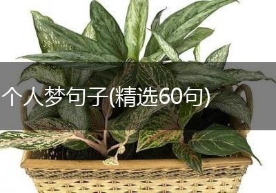 个人梦句子(精选60句)