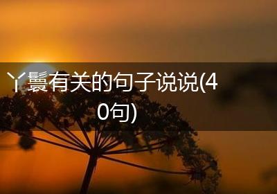丫鬟有关的句子说说(40句)