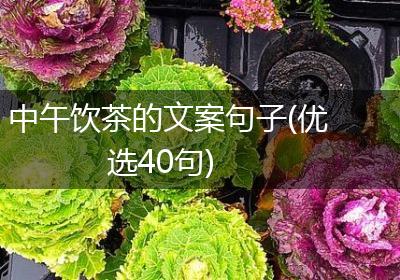 中午饮茶的文案句子(优选40句)