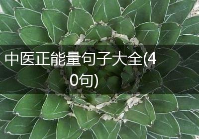 中医正能量句子大全(40句)