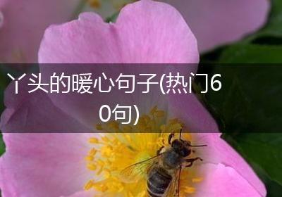 丫头的暖心句子(热门60句)