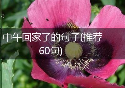 中午回家了的句子(推荐60句)