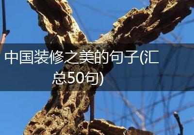 中国装修之美的句子(汇总50句)