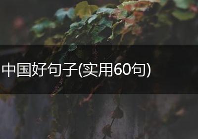 中国好句子(实用60句)