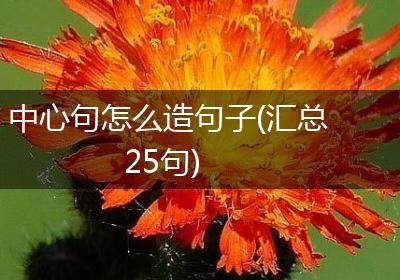 中心句怎么造句子(汇总25句)