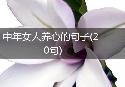 中年女人养心的句子(20句)