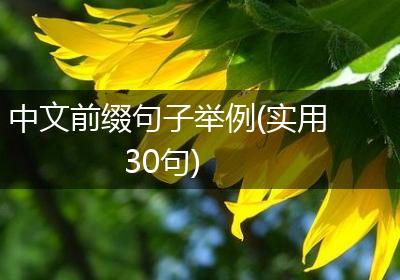 中文前缀句子举例(实用30句)