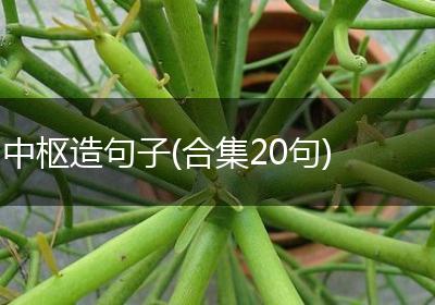 中枢造句子(合集20句)