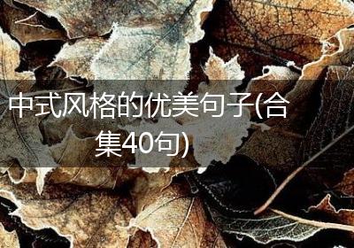中式风格的优美句子(合集40句)