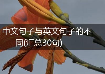 中文句子与英文句子的不同(汇总30句)