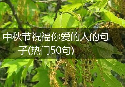中秋节祝福你爱的人的句子(热门50句)