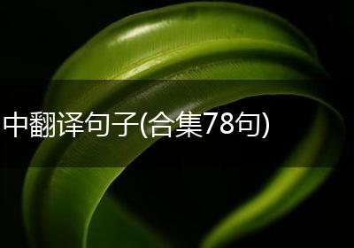 中翻译句子(合集78句)