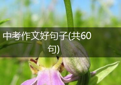 中考作文好句子(共60句)