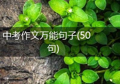 中考作文万能句子(50句)