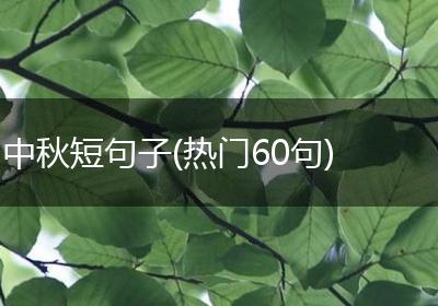 中秋短句子(热门60句)