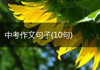 中考作文句子(10句)
